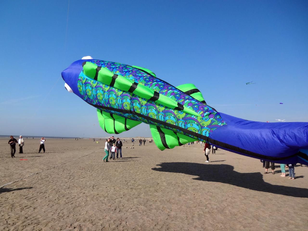 2961