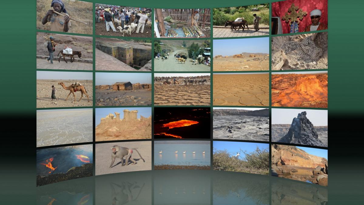 Panos couv04 bent reflex